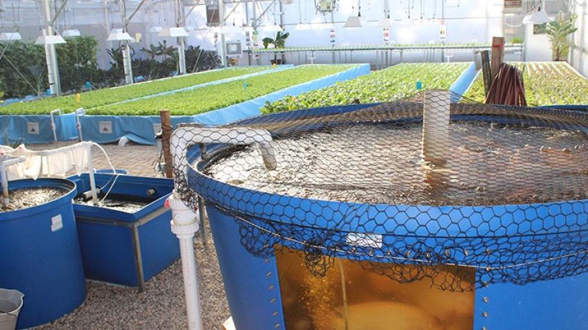 Aquapoinc project Vietnam