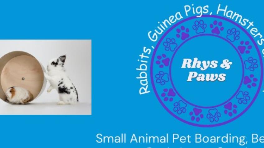 Rhys & Paws Start Up