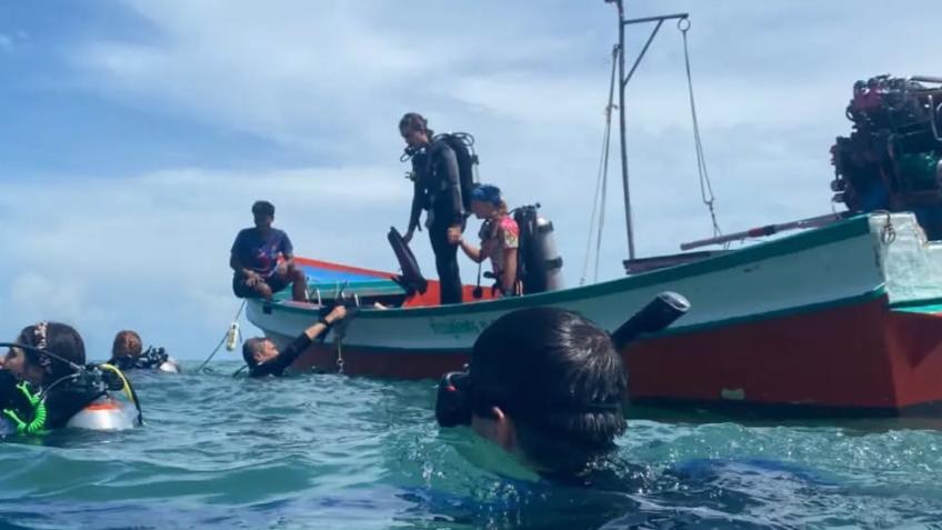 Research into coral, climate, amphibians and rays