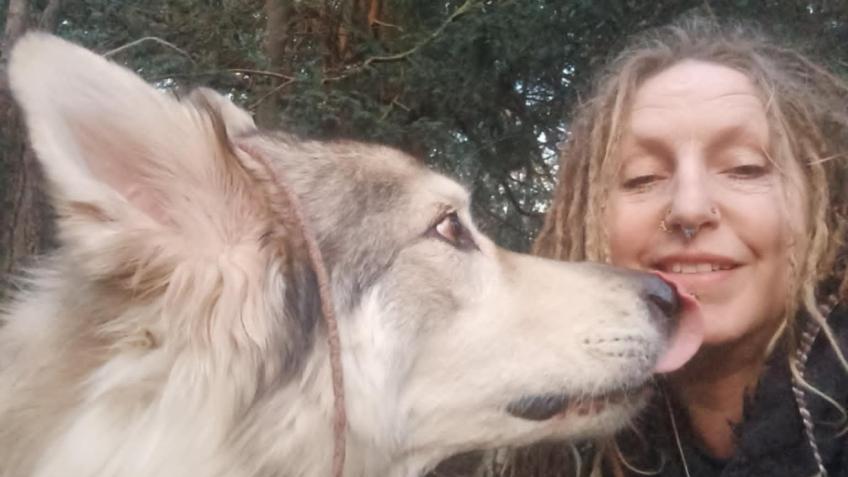 Surgery for Uhtred dog