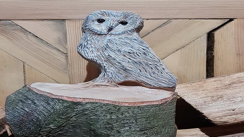 Support a Chainsaw Carver's Dream!