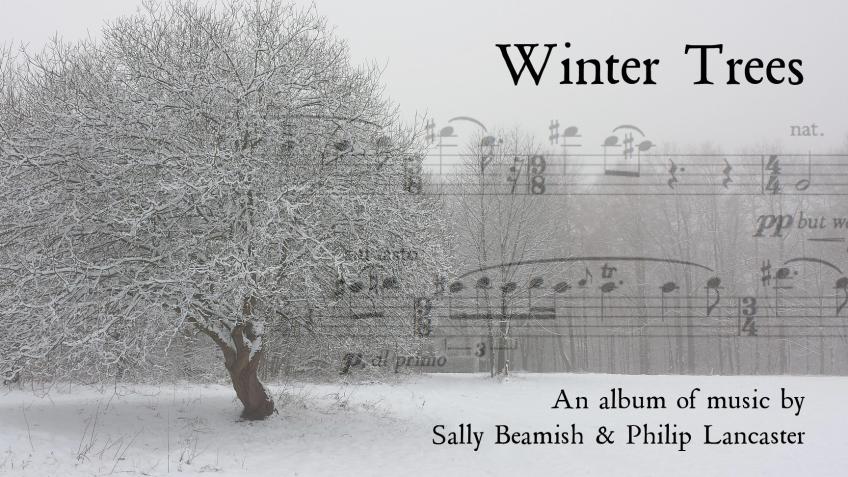 Recording Winter Trees