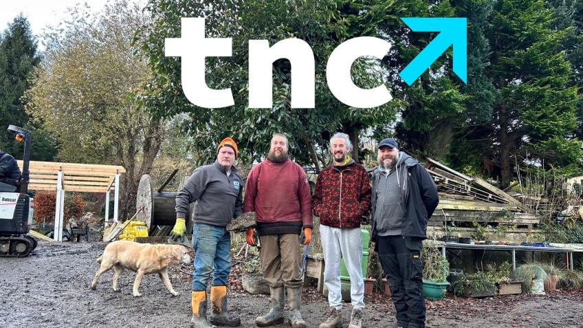 True North Collective CIC - Mental Health Service