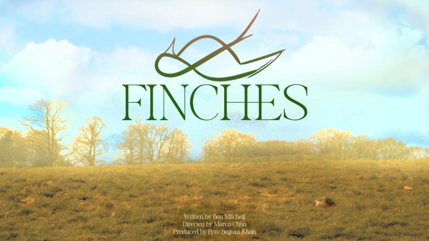 Finches - Short Film