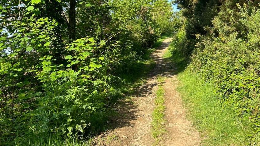 Hele Valley Trail, Marhamchurch