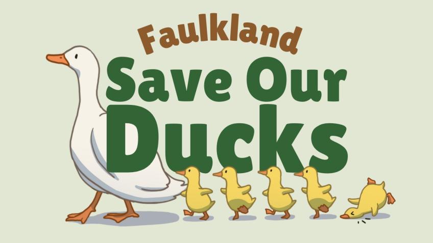 Faulkland Save Our Ducks