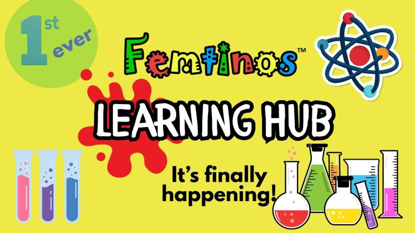 Femtinos Learning Hub!