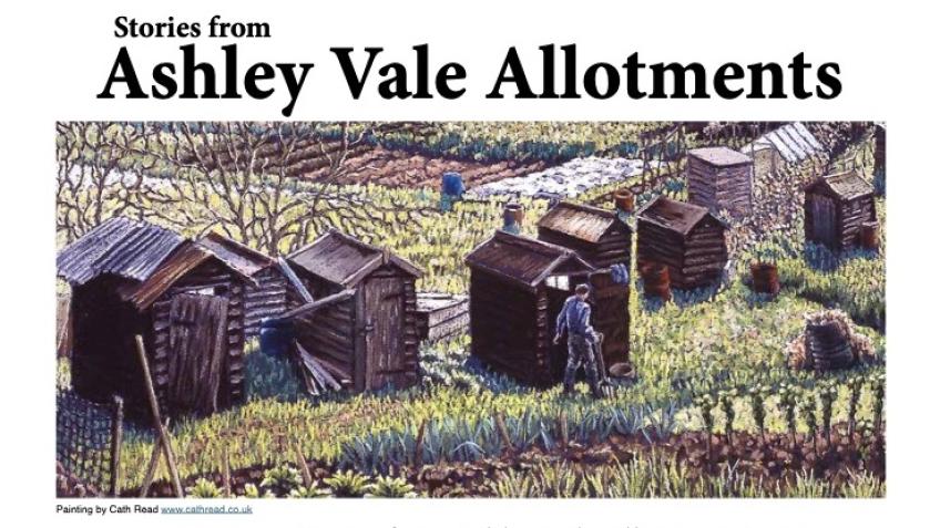 Ashley Vale Allotments