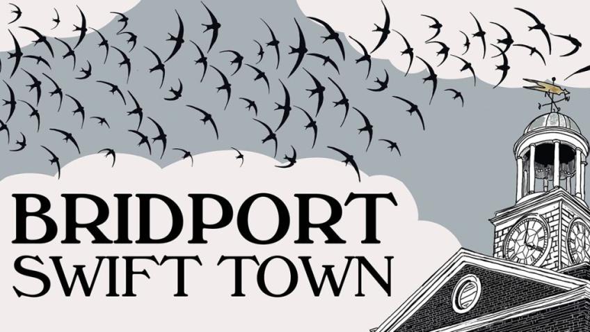 BRIDPORT SWIFT TOWN '25