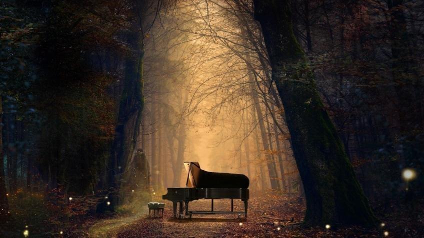 Help Bring Sussex's ‘Enchanting Forest’ to Life