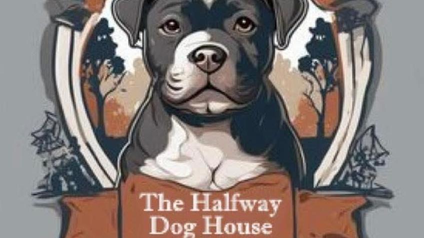 raising funds for our local animal shelter