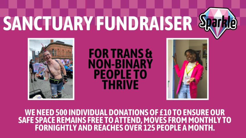 Sparkle Sanctuary Fundraiser