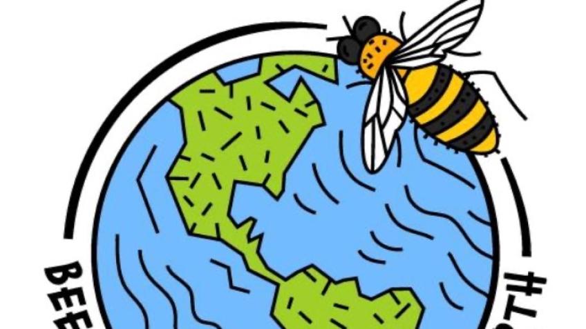 Help Us Save the Bees – One Hive at a Time!