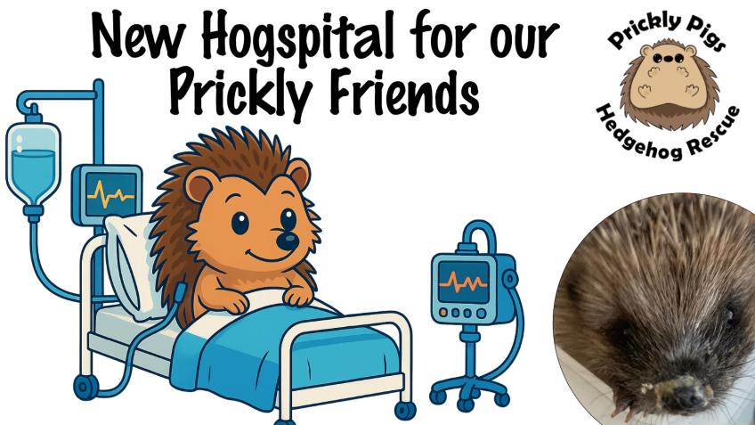 Prickly Pigs Hedgehog Rescue - Building Fund