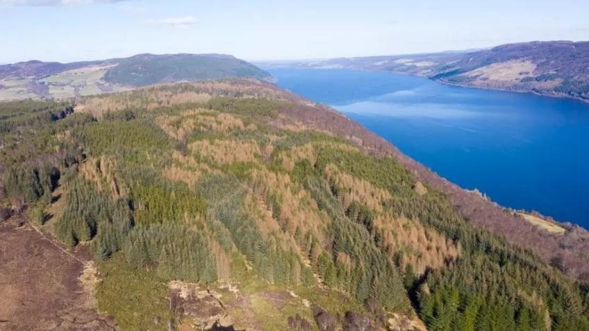 Help Us Build A Bell Tent Retreat By The Loch