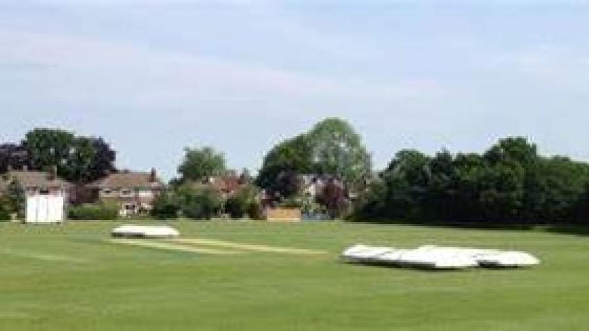 CHCC Purchase of an Electric Wicket Mower