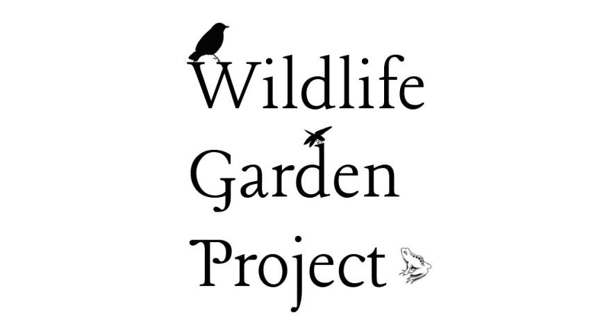 Revamping the Wildlife Garden