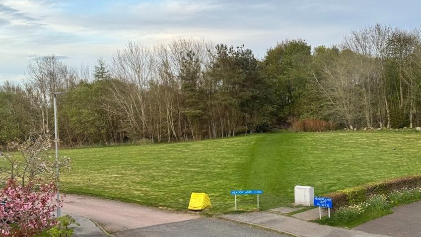 Meadowlands Landscape Maintenance