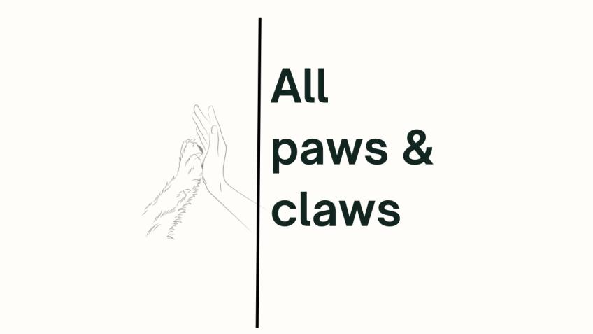 Creating a one stop location for everything dogs