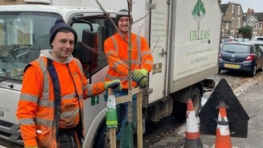 Street Trees for Embleton Road
