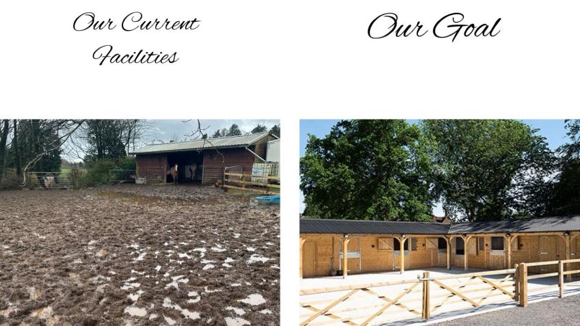 Help our Ponies to Help others