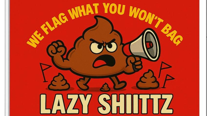 Lazy Schitz