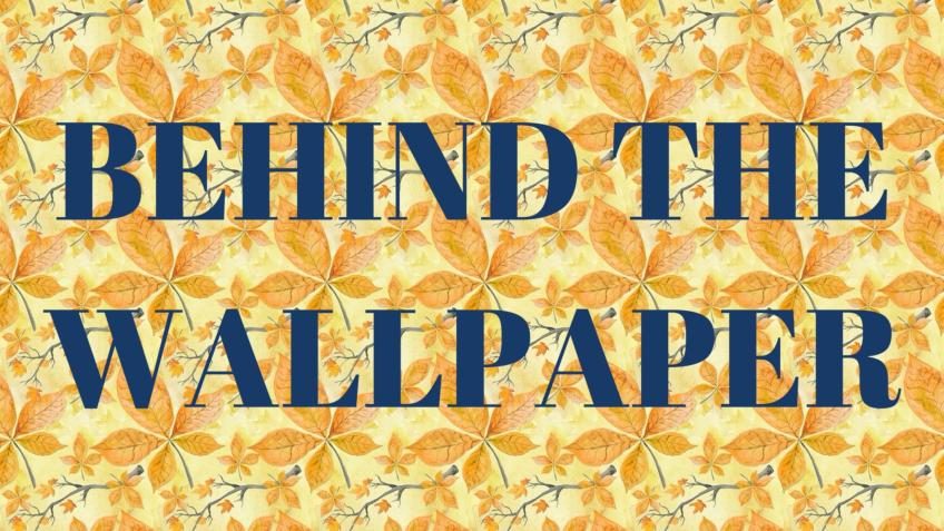Behind the Wallpaper