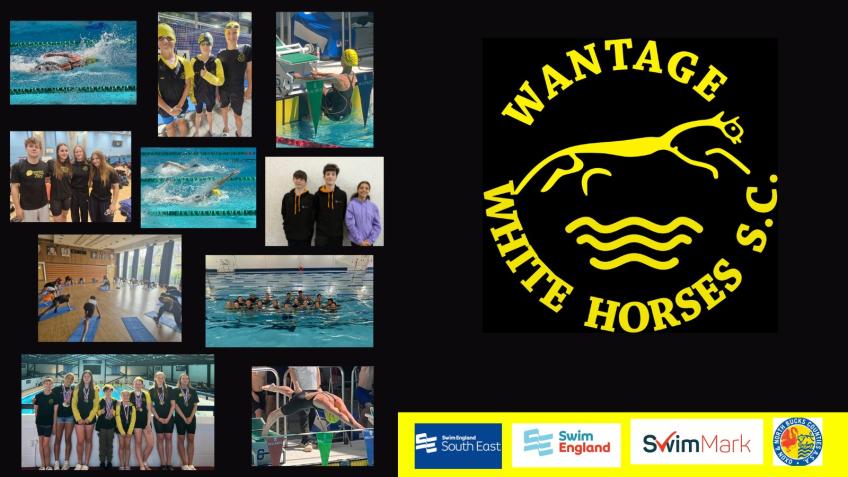 Keep the Wantage White Horses swimming!