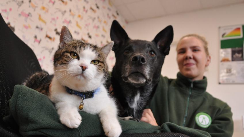 Edinburgh Dog and Cat Home