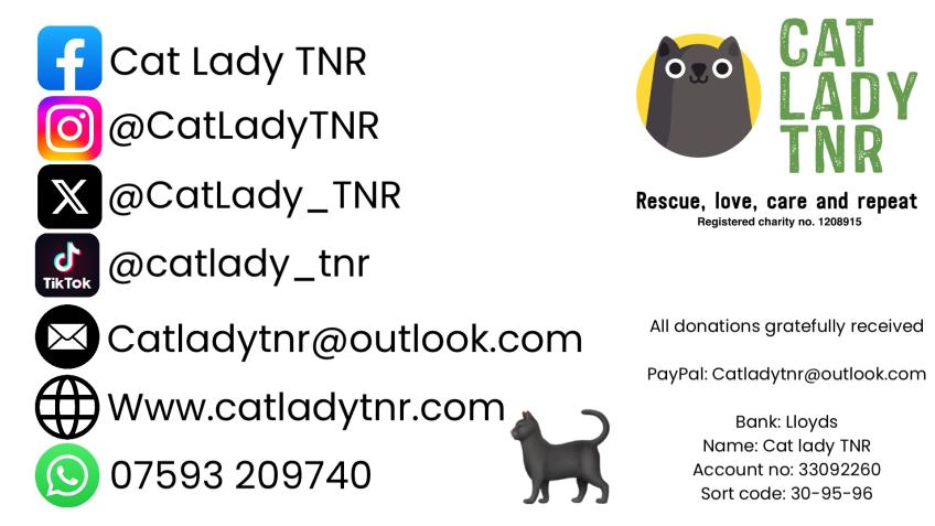 Cat Lady TNR