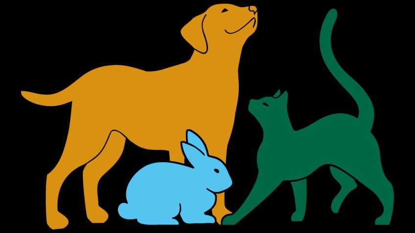 ANIMAL WELFARE (FURNESS)