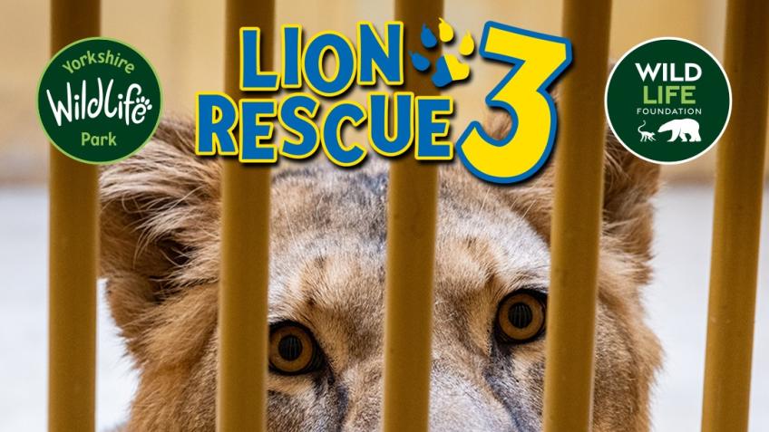 Win a Family Getaway & Help Rescue Ukrainian Lions