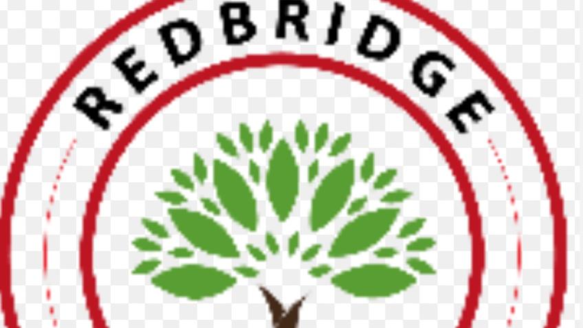 Redbridge cricket club refit