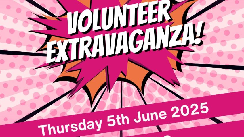 Voluntary Norfolk - Extravaganza volunteer!