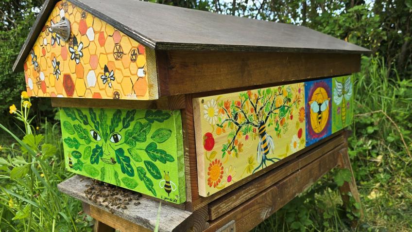 Connecting Our Community To Nature