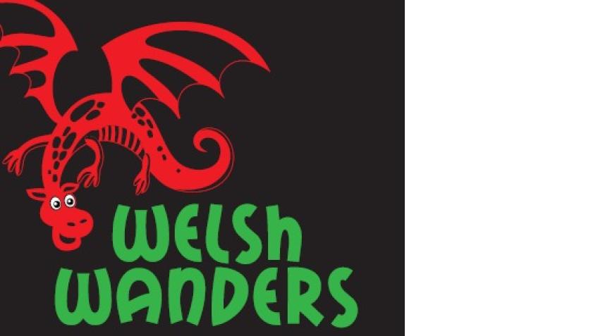 Welsh Crow Welsh Wanders Salli - a Personal Causes crowdfunding project in Oxford ...