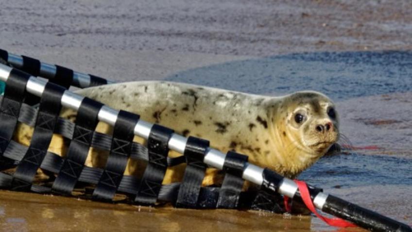 Rescue Stretchers and Rescue Specialised Net