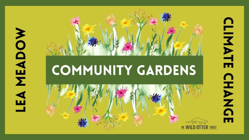Lea Meadow Climate change Community Gardens
