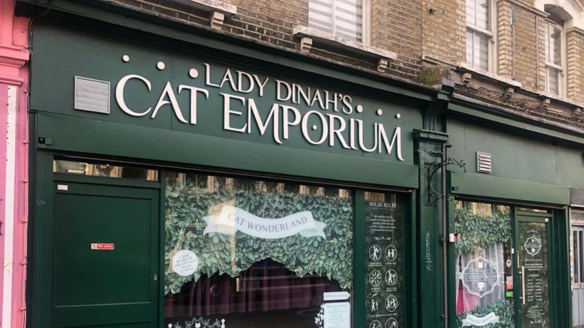 Save Lady Dinah’s Cat Emporium