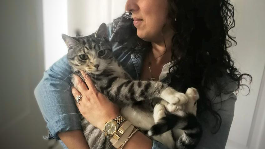 FELINE CARDIAC ECHO for LUCA