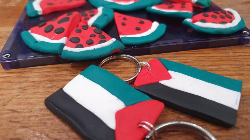 Support for Gaza Infant Nutrition Alliance