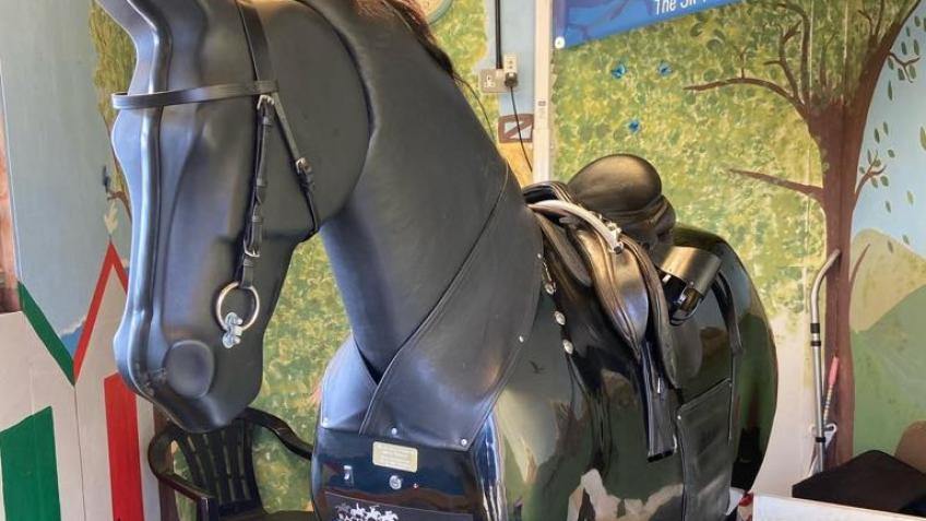 Sully the Mechanical Horse - North Ferriby RDA