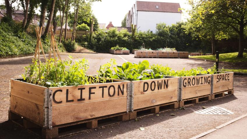 Help Bring Water to Clifton Down Growing Space!
