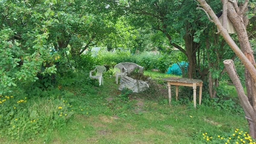 Community land on the Allotment upgrade