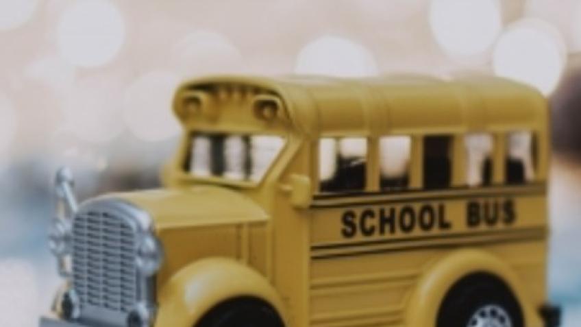 Home 2 School start up transporting SEND children