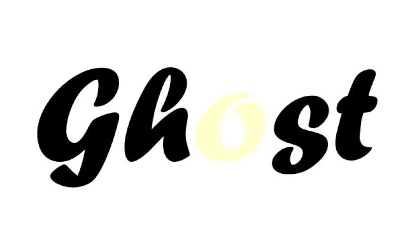 The Ghost Protocol Book 1.