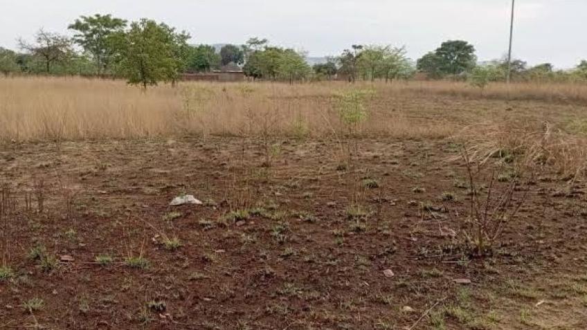 Empowering Sustainable Agriculture in Murehwa, Zim