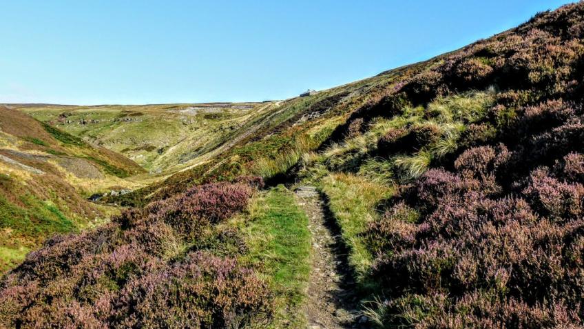 Sam Takes on The Herriot Way!