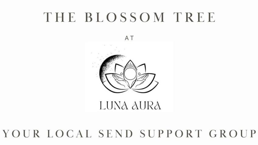 The Blossom Tree SEND Community Project