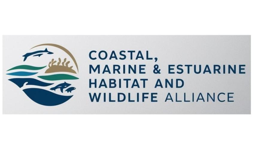 Ripple Effect: Respecting Wildlife, Sharing Shores